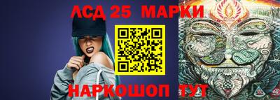 хмурый Сланцы
