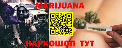 сатива Славгород