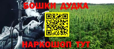 ALPHA PVP Ставрополь