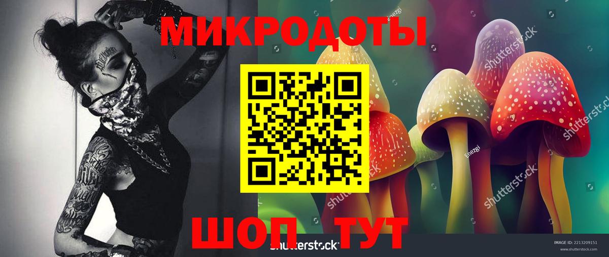 Псилоцибиновые грибы Cubensis Усинск